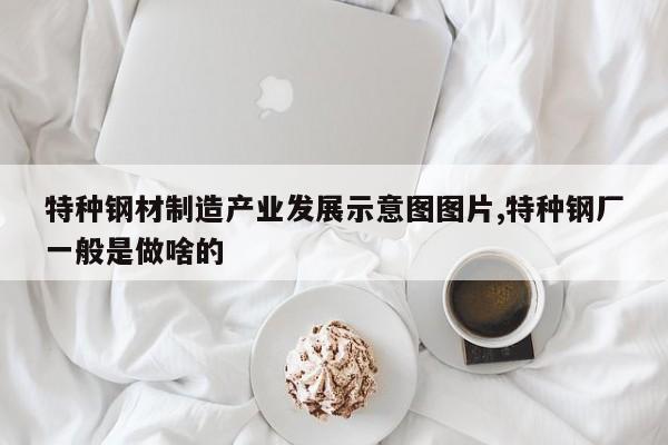 特种钢材制造产业发展示意图图片,特种钢厂一般是做啥的